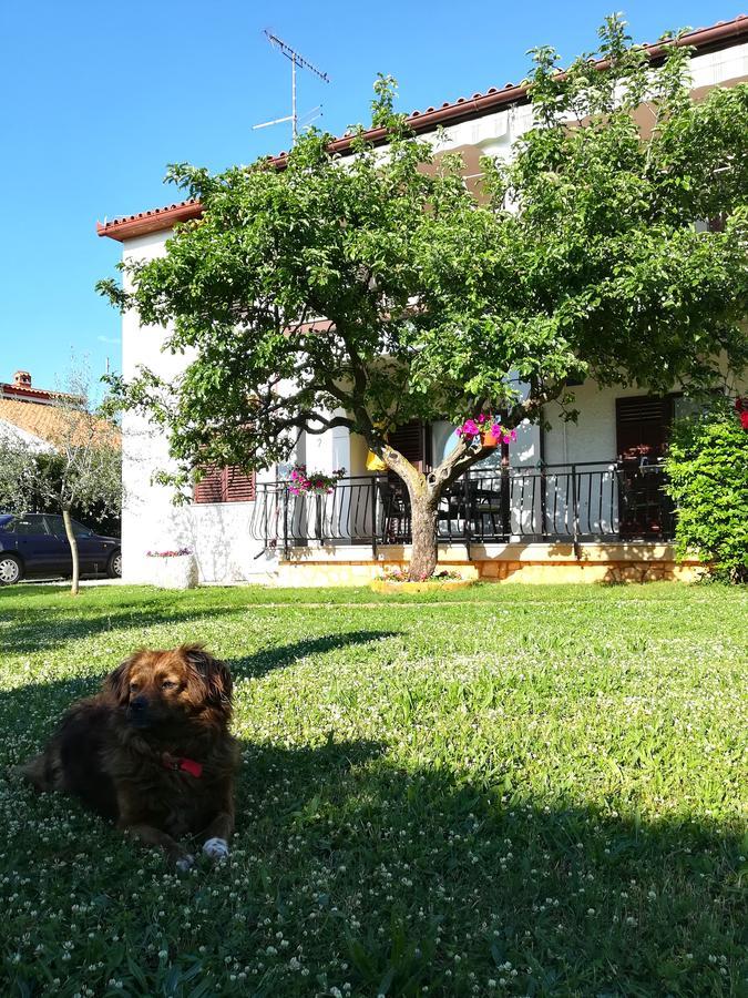 Villa Nina Poreč Exterior foto